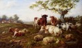 Rinder Schaf ruht und eine Farm über deer